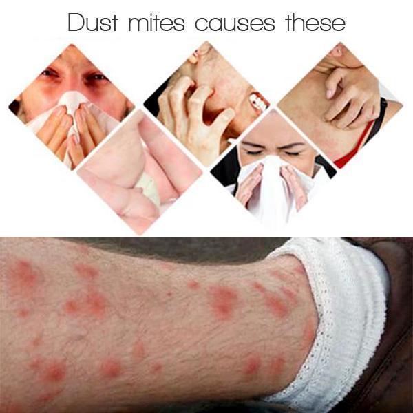 Dust Mite Killing Pad
